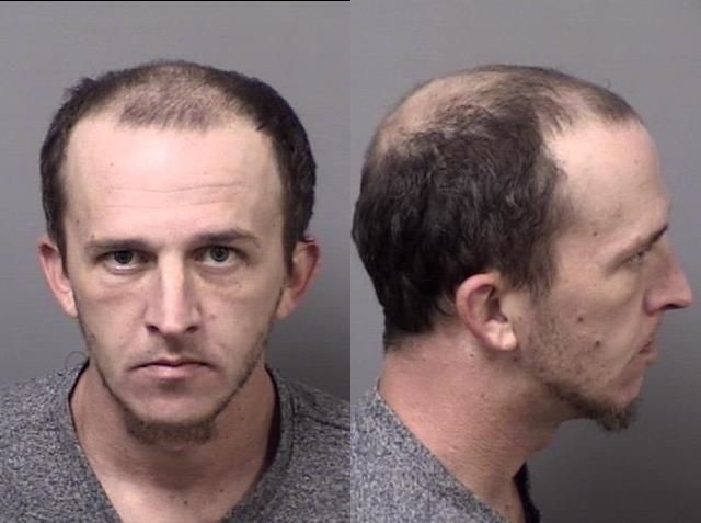 Austin Stauffer arrested Feb. 3 on misdemeanor charges of retail petit theft and obtaining merchandise with a false receipt.